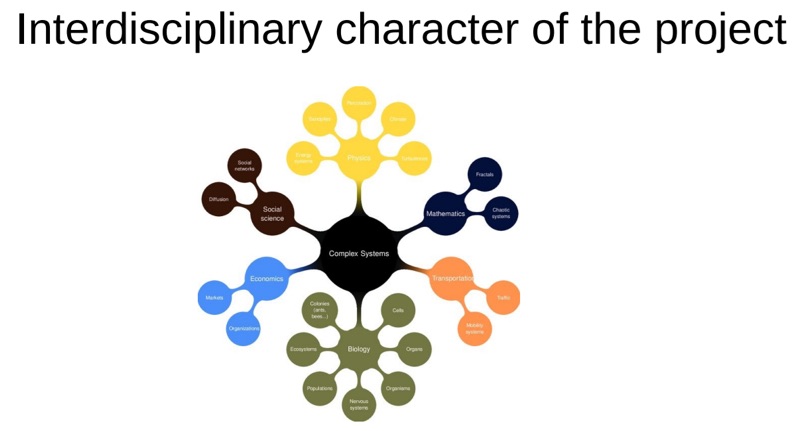 hidden-order-in-various-complex-systems5.jpg